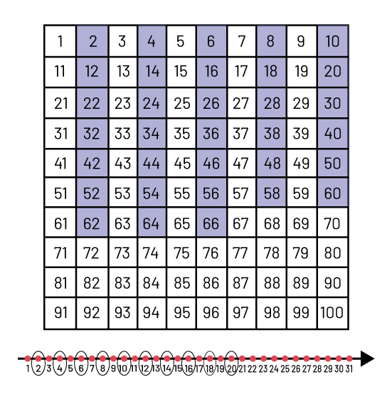 A table grid that has number one to 100. Every number that represents a plus 2 bond is highlighted until number 66. A number line with number one to 31. All numbers that represent a plus 2 bonds are circled.
