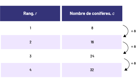 Table de valeur qui représente rang « r » et le nombre de conifères « c ». Rang un, 8 sapins; rang 2, 16 sapins, rang 3, 24 sapins; rang 4, 32 sapins. Des flèches nous indiquent des bonds de plus 8 sapins.