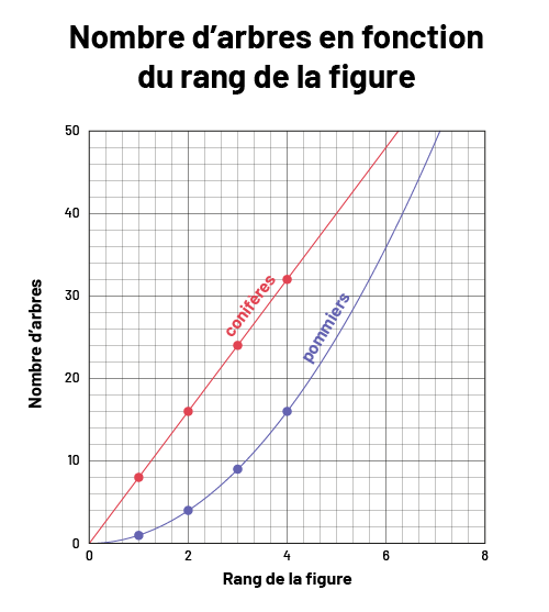 Représentation graphique du nombre d’arbres en fonction du rang de la figure. Nombre d’arbres de zéro à 50, et rang de la figure de zéro à 8. La ligne rouge du graphique représente les sapins, et la ligne bleue représente les pommiers.