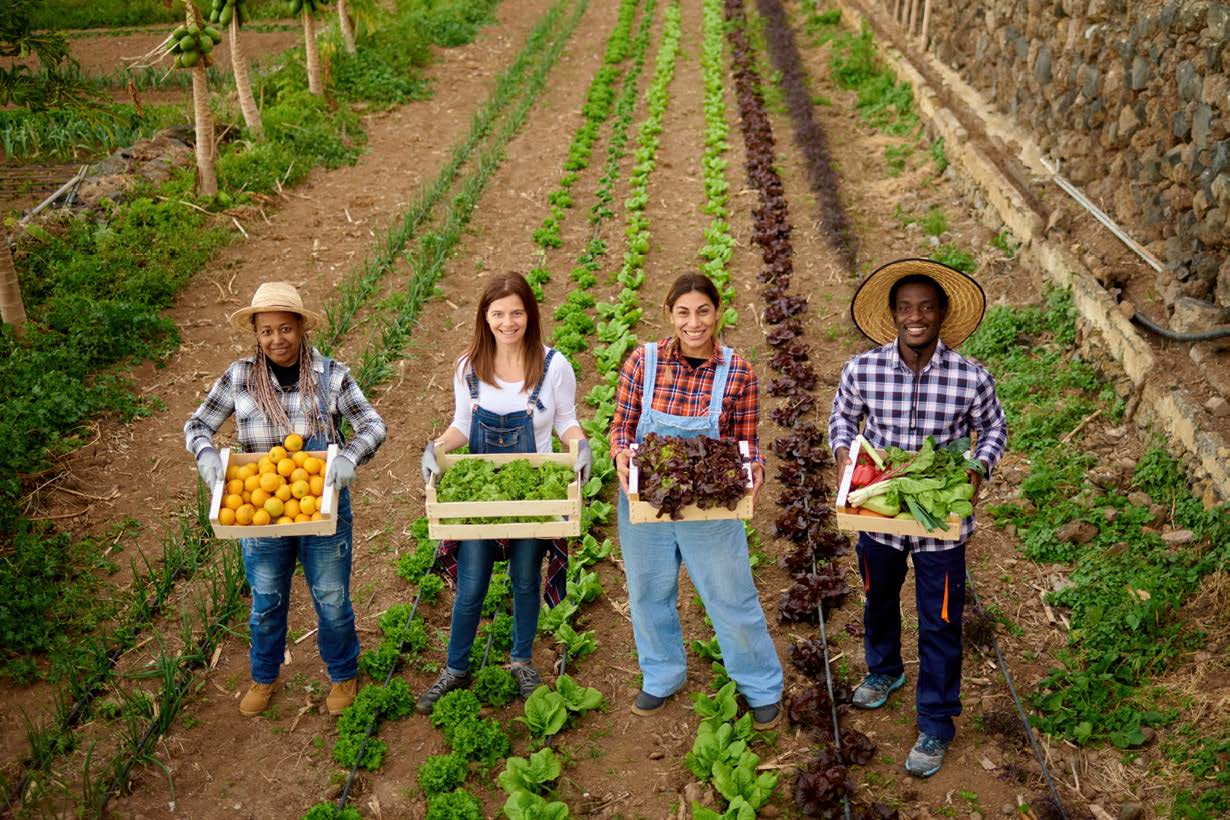 Photo de 4 étudiants tenant différents types de légumes dans un champ. 