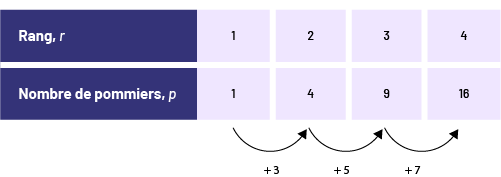 Tableau de valeurs représentant le rang, la parenthèse ouverte, r, la parenthèse fermée et le nombre de pommiers.  Les flèches représentent les bonds de plus 3, plus 5 et plus 7.