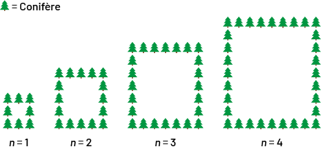 Nonnumeric sequence with increasing patterns. Rank one: 8 trees forming a square. Rank 2: 16 trees forming a square.Rank 3: 24 trees forming a square.Rank 4: 32 trees forming a square. 