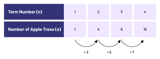 Value table representing rank, open parenthesis, r, closed parenthesis, and number of apple trees. Arrows represents bonds of plus 3, plus 5, and plus 7.