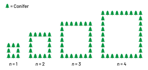 Nonnumeric sequence with increasing patterns. Rank one: 8 trees forming a square. Rank 2: 15 trees forming a square.Rank 3: 24 trees forming a square.Rank 4: 33 trees forming a square. 