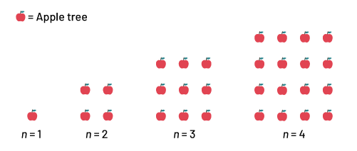 Nonnumeric sequence with increasing patterns.Rank one: one apple.Rank 2: 4 apples forming a square.Rank 3: 9 apples forming a square.Rank 4: 16 apples forming a square. 