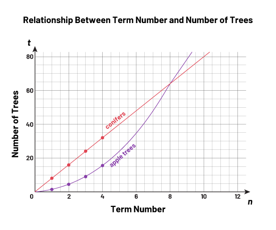 A graph figure represents the relationship of the rank of the figure and the number of trees. Number of coniferous trees are represented with a red linear line. Number of apple trees are represented with blue an exponential line.