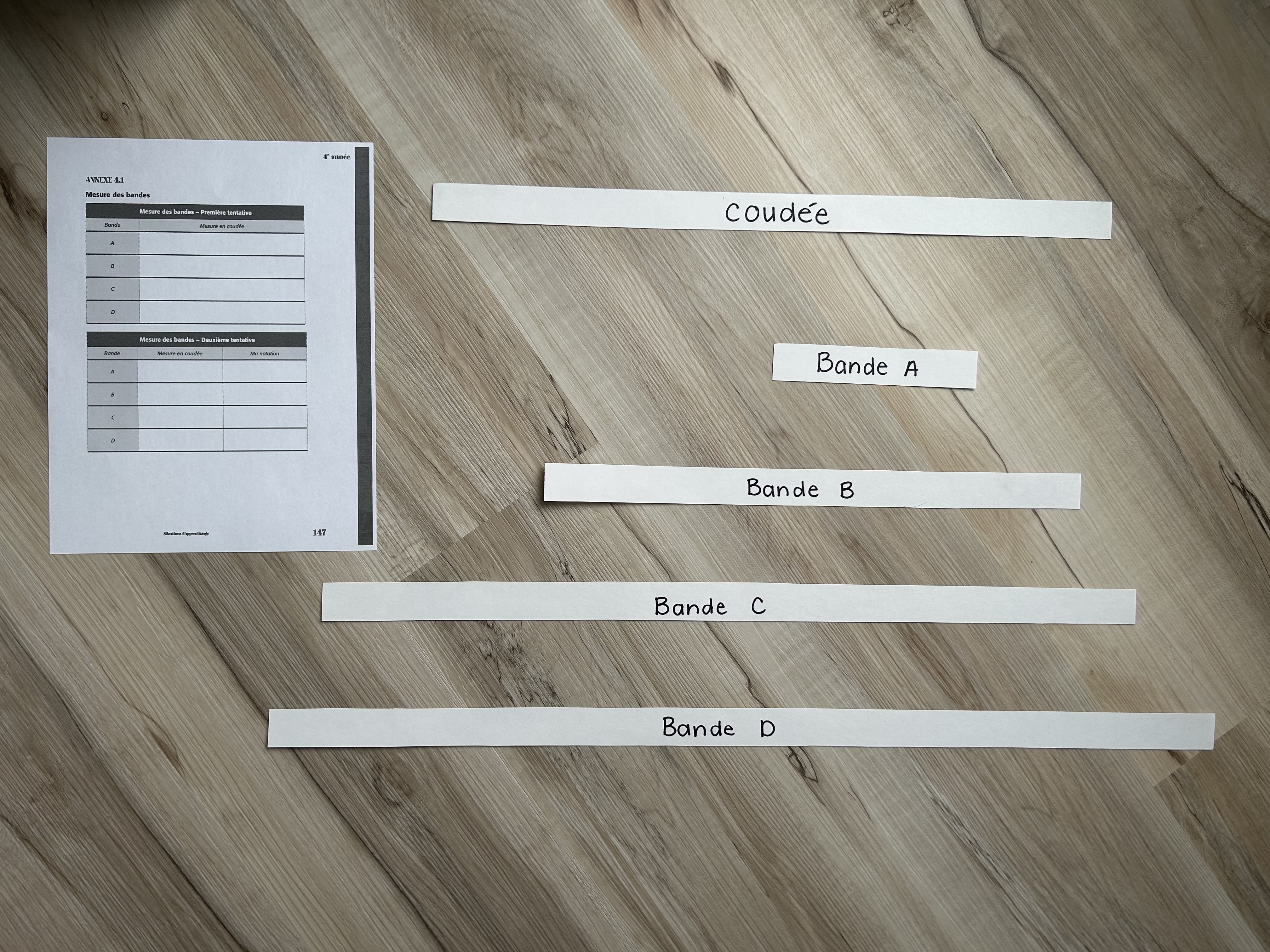 5 bandes de papier, elles sont identifiées comme suit : « coudée », « bande A », « bande B », « bande C », et « bande D ». Elles sont accompagnées par une copie papier de l’annexe 4 point un.