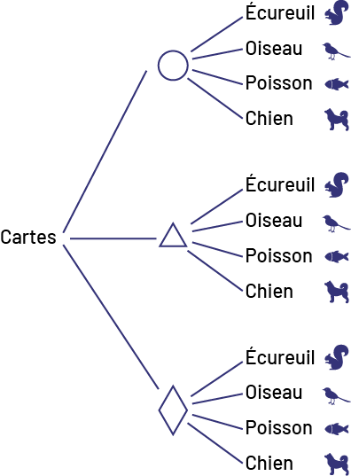 Diagramme en arbre des cartes.Il y a 3 possibilités à la première branche, soit un cercle, un triangle ou un losange.À la deuxième branche, il y a 4 possibilités soit un écureuil, un oiseau, un poisson ou un chien.