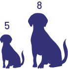 Deux silhouettes de chien sont placées côte à côte. La première est petite et il y a le chiffre cinq au-dessus. La deuxième est grande et il y a le chiffre huit au-dessus. 