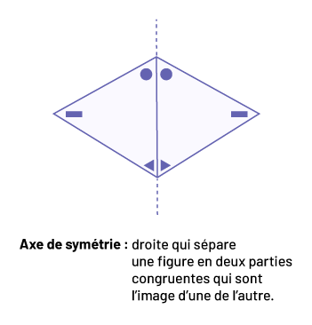 Axe de symétrie: « qui sépare une figure en deux parties congruentes qui sont l’image d’une de l’autre. »