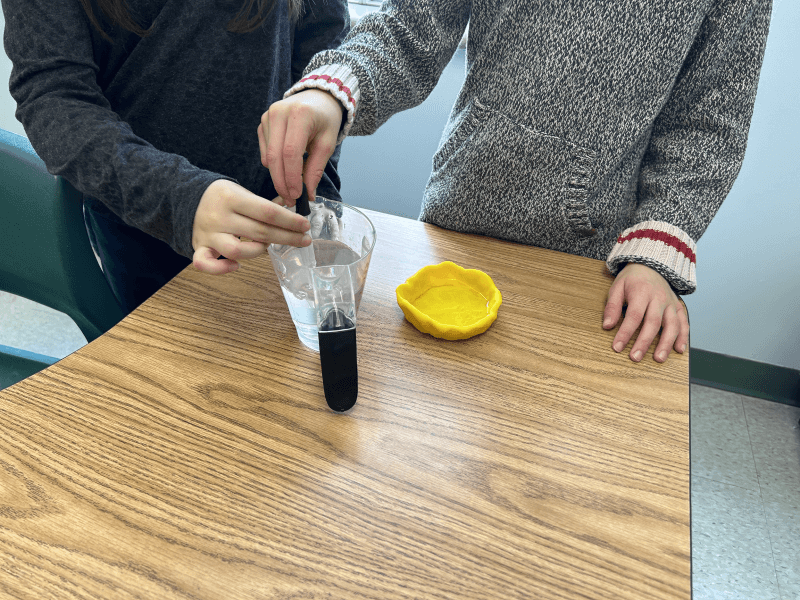 Des élèves utilisent une pipette pour transvaser de l’eau d’un récipient à un autre.