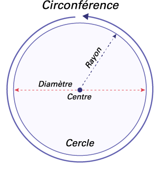 Un cercle où on a indiqué : Le rayon, qui part du centre jusqu’au bord du cercle. Le diamètre, qui part du bord du cercle et le traverse en passant par le centre. La circonférence qui est le contour total du cercle.
