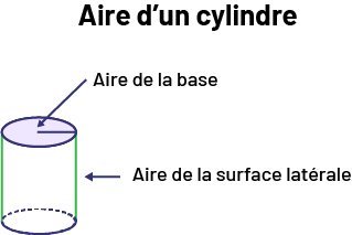 Aire d’un cylindre. La base circulaire d’un cylindre représente l’aire de la base. La surface cylindrique du côté représenter est l’aire de la surface latérale.