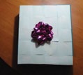 The top surface of the gift box is covered with adhesive butterflies.