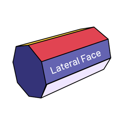 There is a prism with an octagonal base placed on its side. On one of the sides is written: lateral face.