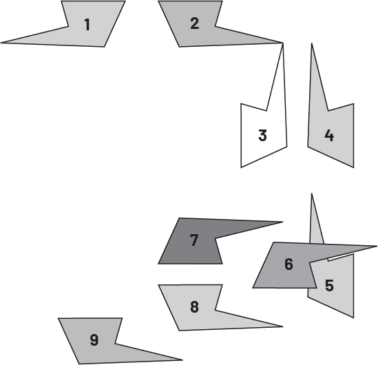 There is a series of nine identical figures with different orientations.