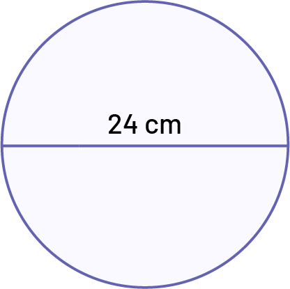 A disc 24 centimeters in diameter.