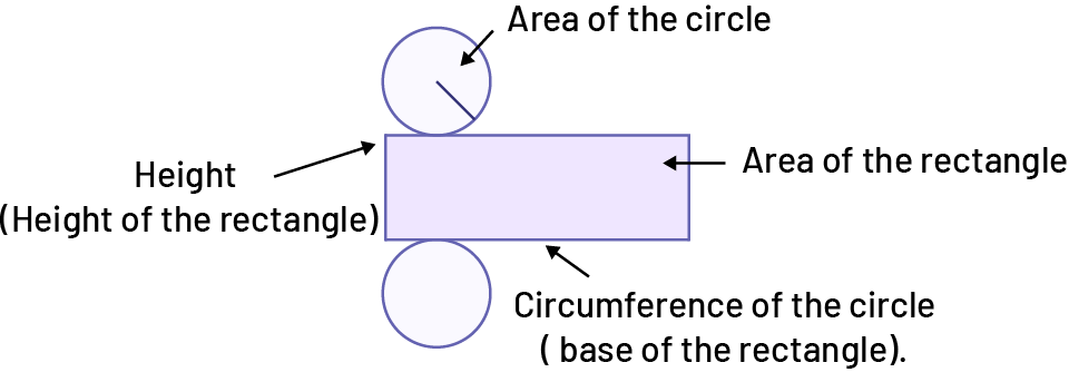 Development of a cylinder.The circles represent the area of the disc. The rectangle represents the area of the rectangle. The width side of the rectangle is the height. And the length of the rectangle represents the circumference of the disc.
